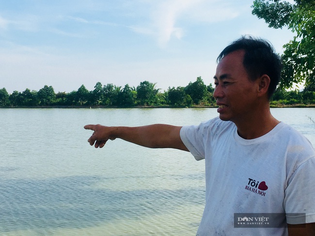 Lão nông Thanh Hóa bật mí nuôi, trồng “thập cẩm” bỏ túi gần 400 triệu/năm - Ảnh 5.