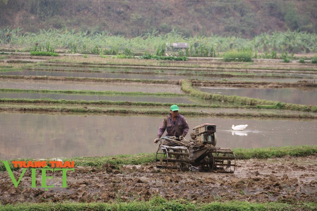 Mai Châu: Phát huy sức mạnh đoàn kết trong xây dựng nông thôn mới - Ảnh 8.