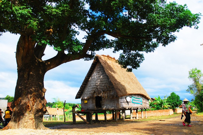 Thắp sáng buôn làng ở Mang Yang - Ảnh 1.