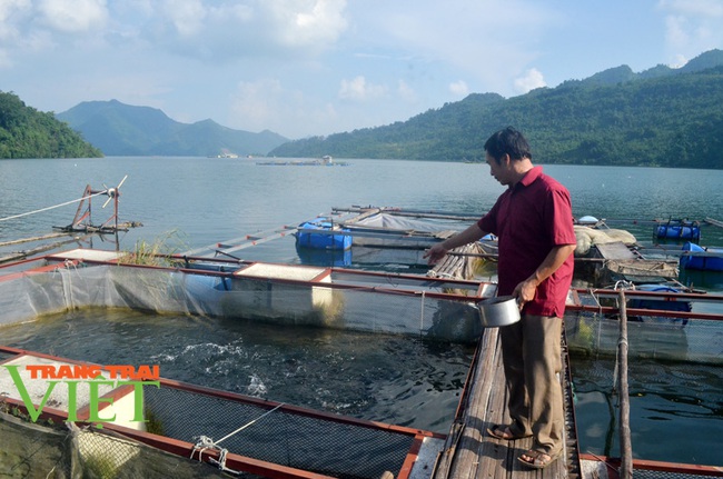 Mai Châu phát triển nông nghiệp, gắn với thu nhập cho bà con - Ảnh 6.