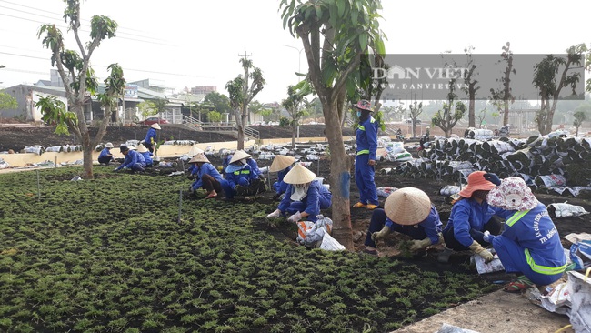 Bình Phước: TP.Đồng Xoài xây dựng … “công viên xoài” - Ảnh 4.