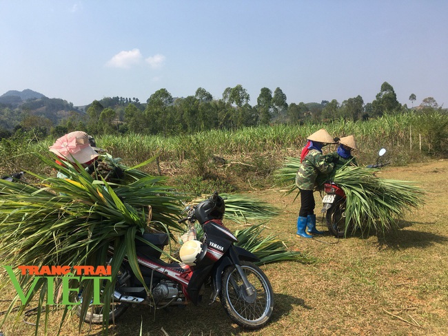 Người dân Nà Bó chung tay cùng chính quyền gìn giữ các tiêu chí nông thôn mới - Ảnh 5.