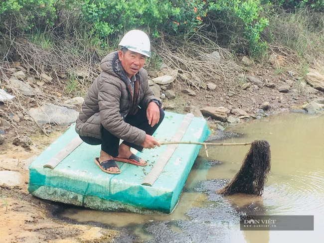 Thanh Hóa: Vớt thứ rau mọc tự nhiên dưới ao đầm người dân ven biển kiếm bội tiền - Ảnh 1.