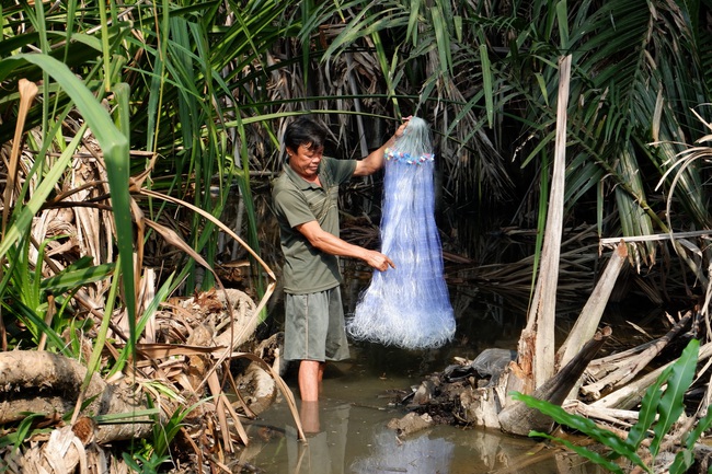 Sống trong rừng... Thủ Thiêm - Ảnh 3.