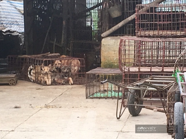 Làng buôn chó lớn nhất xứ Thanh giờ còn khoảng 10 hộ theo “nghề” - Ảnh 2.