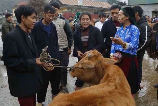 Cuối tuần đi chợ bò Mèo Vạc - Ảnh 5.