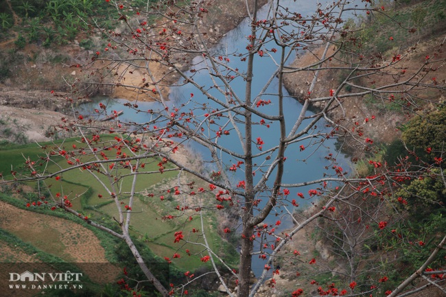 Ngẩn ngơ mùa hoa gạo đỏ rực bên dòng sông huyền thoại - Ảnh 7.