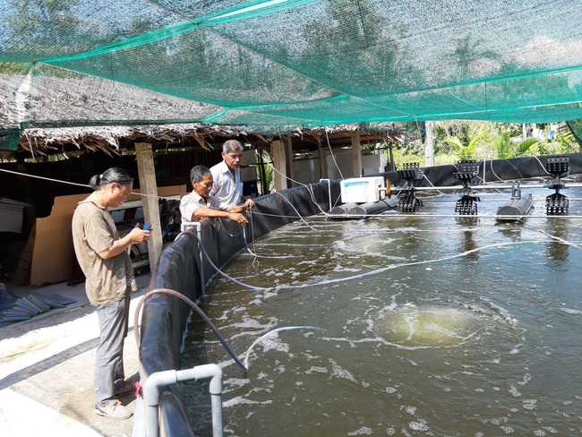 Long An: Nông dân vùng hạ dốc tiền xây dựng “thủ phủ” tôm ứng dụng công nghệ cao - Ảnh 2.