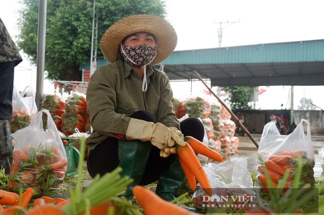 Hải Dương: Giá nông sản tăng sau gỡ bỏ phong tỏa, nông dân Chí Linh vui mừng ra mặt - Ảnh 2.