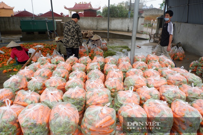 Hải Dương: Giá nông sản tăng sau gỡ bỏ phong tỏa, nông dân Chí Linh vui mừng ra mặt - Ảnh 4.