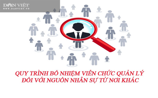 Quy trình bổ nhiệm viên chức lãnh đạo, quản lý đối với nguồn nhân sự từ nơi khác - Ảnh 2.