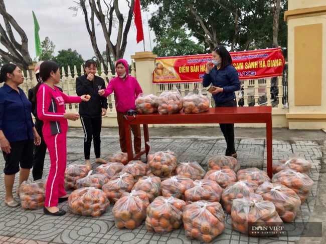 Hội Nông dân Ninh Bình “giải cứu” 10 tấn cam sành cho nông dân Hà Giang - Ảnh 1.