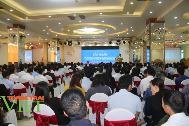  Sơn La: Tập huấn chương trình giáo dục phổ thông cho hơn 500 cán bộ quản lý, giáo giáo viên cốt cán - Ảnh 1.