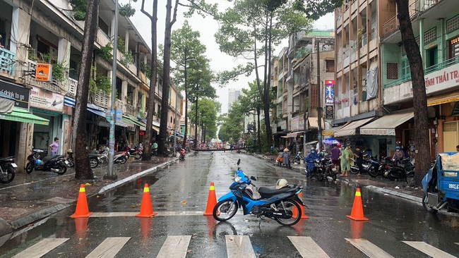 Cây cổ thụ bật góc ngã đè trúng tài xế xe ôm công nghệ chở người phụ nữ ở TPHCM - Ảnh 2.