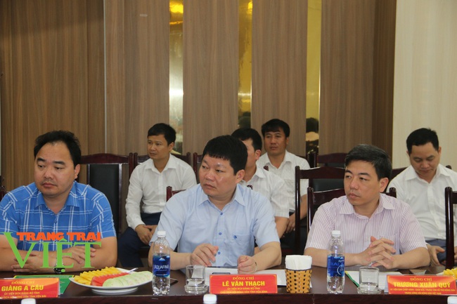 Hội Nông dân tỉnh Sơn La: Giao lưu và ký kết tợp tác phát triển kinh tế nông nghiệp với 3 tỉnh thành  - Ảnh 8.