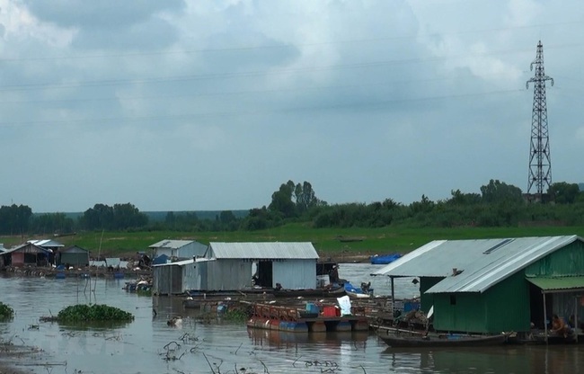 Di dời bè cá trên sông La Ngà: Các hộ không chịu vào vùng quy hoạch nếu cá chết phải tự chịu - Ảnh 2.