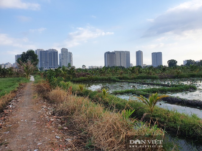 ẢNH: Quy hoạch Thanh Đa treo 30 năm, &quot;siêu đô thị&quot; tỷ USD nhìn đâu cũng thấy nghẹn lòng - Ảnh 6.