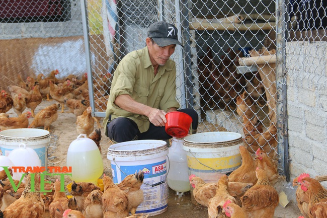 Hội Nông dân tỉnh Sơn La: Vận động hội viên góp hàng chục nghìn ngày công XDNTM  - Ảnh 6.