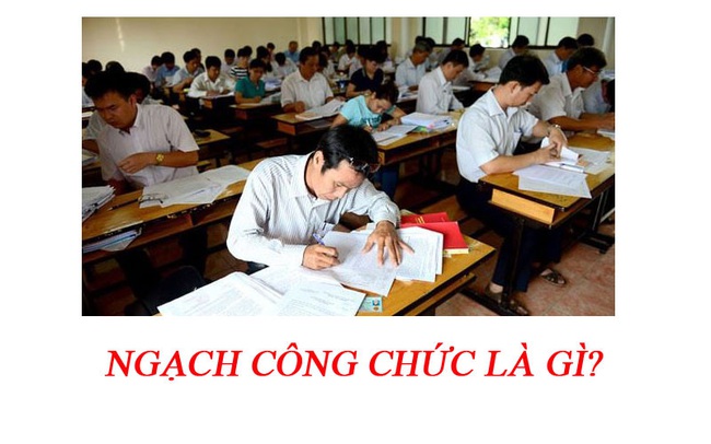 Ngạch công chức là gì? - Ảnh 1.