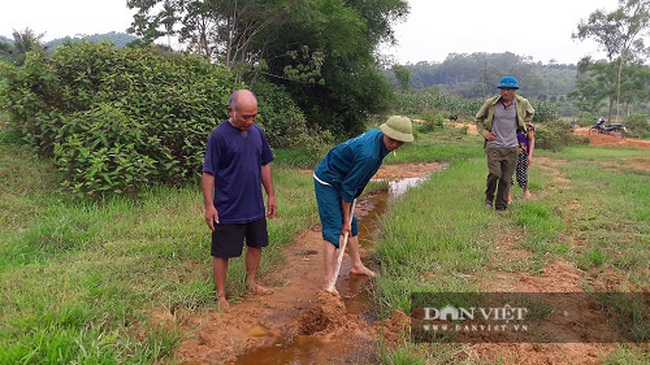 Hà Tĩnh: Nông dân bất lực nhìn ruộng bị vùi lấp sau mỗi trận mưa - Ảnh 2.