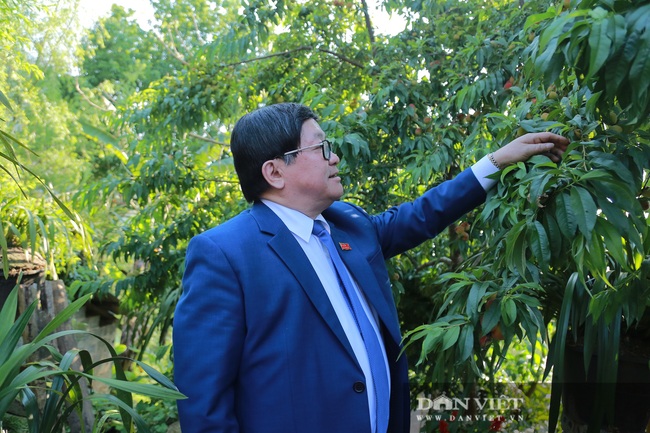 Ông Thào Xuân Sùng trèo đèo, lội suối chia sẻ cách nuôi gà với bà con huyện Phong Thổ (Lai Châu) - Ảnh 3.