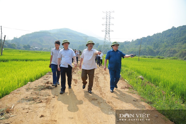 Đồng chí Thào Xuân Sùng đánh giá cao mô hình trồng lúa của xã Nậm Xe - Ảnh 4.
