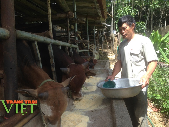 Hội Nông dân Mai Sơn: Phát huy tinh thần lá lành đùm lá rách - Ảnh 2.