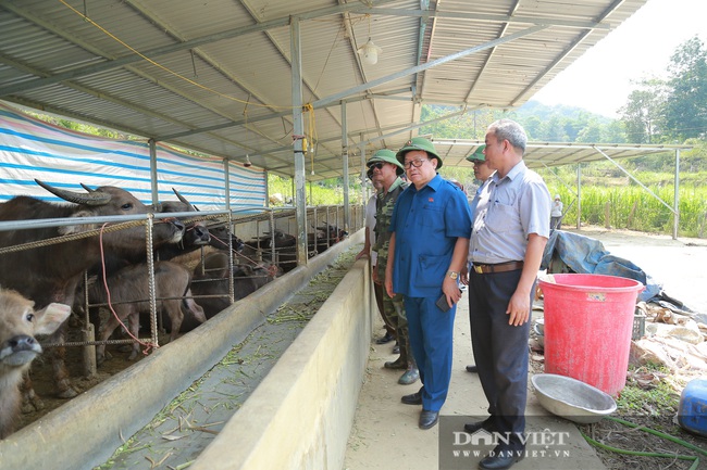 Đồng chí Thào Xuân Sùng đánh giá cao mô hình trồng lúa của xã Nậm Xe - Ảnh 6.