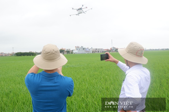 Nông nghiệp công nghệ cao: Máy bay không người lái &quot;ôm&quot; 20ha lúa chỉ trong &quot;nháy mắt&quot;, năng xuất lúa cao, nông dân lại khỏe - Ảnh 8.