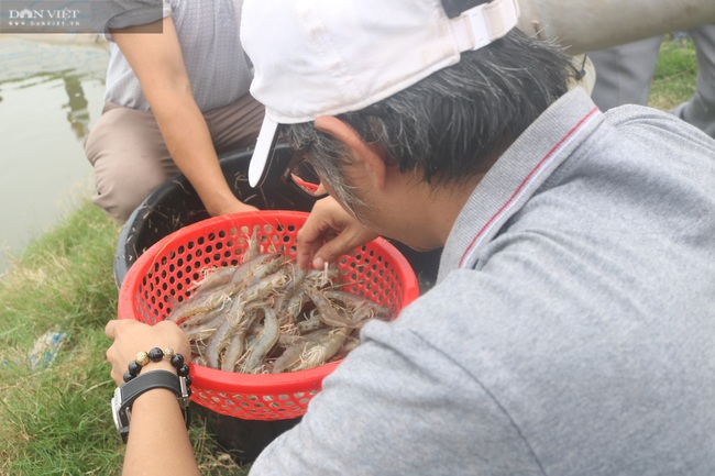 Nghệ An: Nuôi tôm thẻ chân trắng, nông dân lãi 1,3 tỉ đồng nhờ sản phẩm Mother Water của Bồ Đề - Ảnh 3.