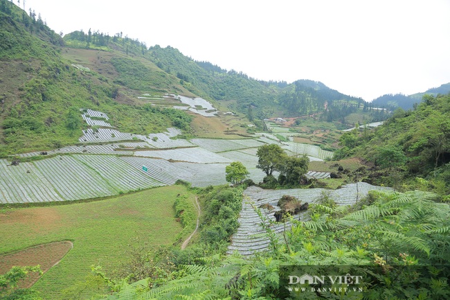 Mô hình nuôi lợn với thu nhập hơn 10 tỷ một năm được đồng chí Thào Xuân Sùng khen ngợi - Ảnh 2.