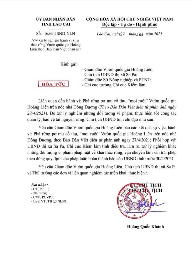 UBND tỉnh Lào Cai ra văn bản hỏa tốc chỉ đạo xử lý vụ phá rừng pơ mu ở Vườn quốc gia Hoàng Liên - Ảnh 3.