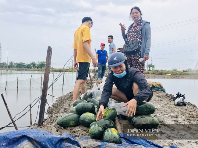 Người dân Quảng Bình gom, mua dưa hấu giúp tài xế khi xe tải lật bên đường - Ảnh 4.