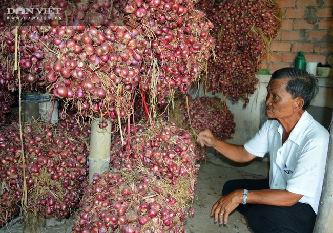 Hơn 300 tấn hành tím Vĩnh Châu được &quot;giải cứu&quot;, riêng chủ tịch thị xã mua 2,7 tấn - Ảnh 2.