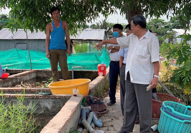 An Giang: Nuôi lươn trong bồn, đủ cân đủ lạng đủ an toàn doanh nghiệp đến bắt mang bán sang châu Âu - Ảnh 2.