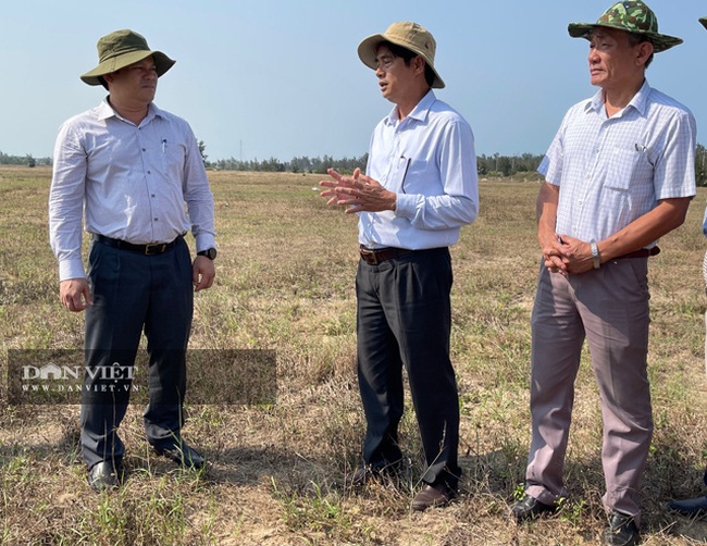 Quảng Ngãi: Lập Ban Chỉ đạo để gỡ khó cho các dự án bất động sản  - Ảnh 1.