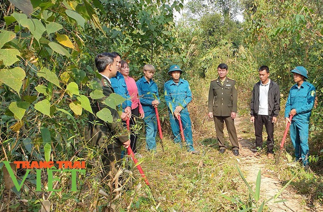 Hạt Kiểm lâm Mộc Châu: Làm tốt công tác bảo vệ và trồng rừng - Ảnh 1.