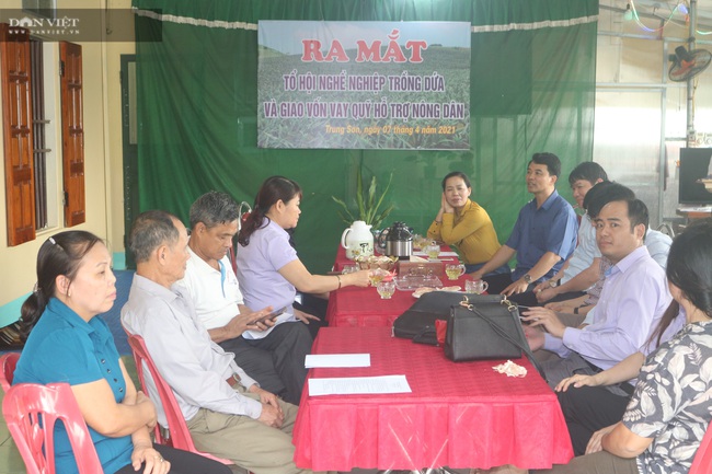 Hội Nông dân Ninh Bình giao vốn để nông dân thoát nghèo - Ảnh 4.