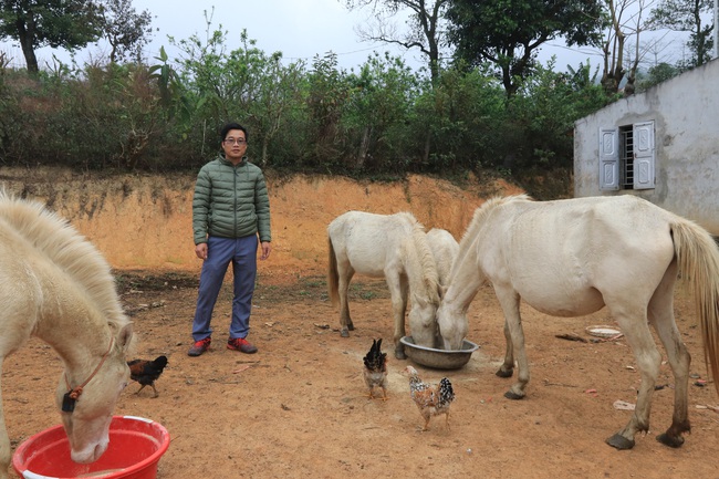 “Vén mây” đi tìm bạch mã xứ Lạng (kỳ 2): Thong dong vó ngựa ở Khau Sao - Ảnh 1.