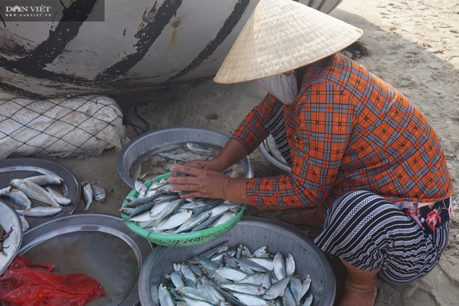 Đà Nẵng: Độc đáo ngôi làng chài cổ duy nhất ở phố biển, có sông có núi, có đặc sản tiến Vua - Ảnh 2.