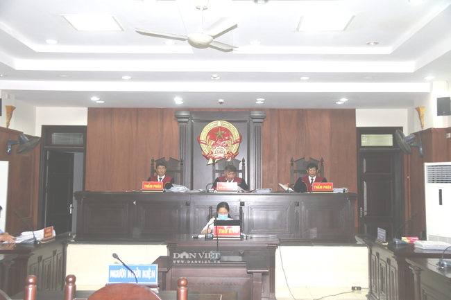 Thủ tướng phê bình Đà Nẵng, tòa hoãn xử phúc thẩm vụ kiện &quot;Đền 1m2 đất vàng bằng ký cá nục&quot; - Ảnh 1.