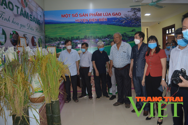 Điện Biên: Hội thảo thúc đẩy phát triển sản xuất - tiêu thụ gạo chất lượng cao   - Ảnh 3.