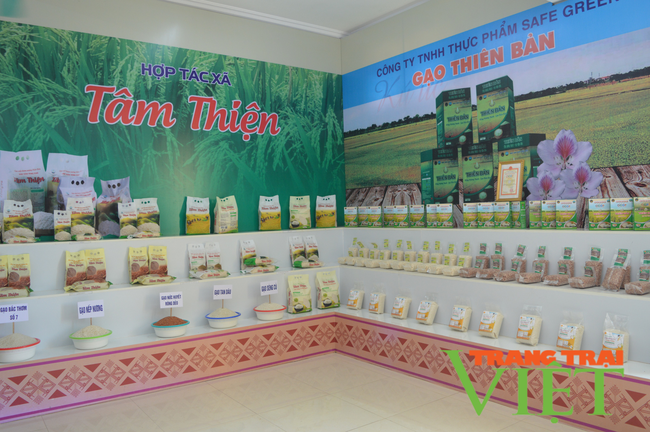 Điện Biên: Hội thảo thúc đẩy phát triển sản xuất - tiêu thụ gạo chất lượng cao   - Ảnh 4.
