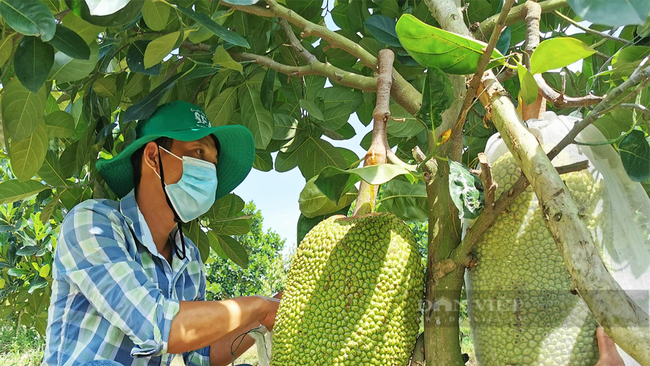 Bộ trưởng Lê Minh Hoan: Nhiều cơ hội xuất khẩu nông sản cuối năm, nhất là Noel và Tết cổ truyền Trung Quốc - Ảnh 2.