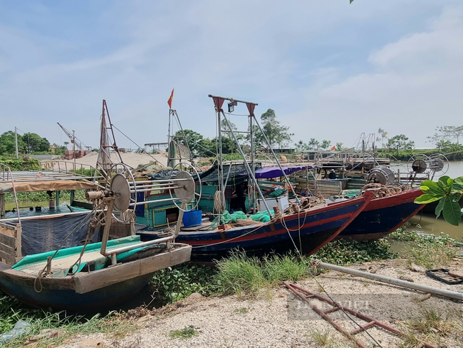 Ninh Bình: 100% tàu thuyền vào nơi trú tránh an toàn - Ảnh 1.