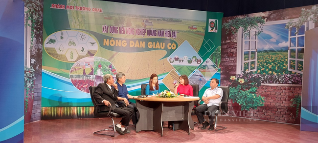  Quảng Nam: Khi nông dân áp dụng công nghệ hiện đại vào nông nghiệp   - Ảnh 1.