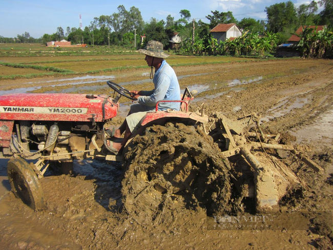  Quảng Nam: Khi nông dân áp dụng công nghệ hiện đại vào nông nghiệp - Ảnh 2.