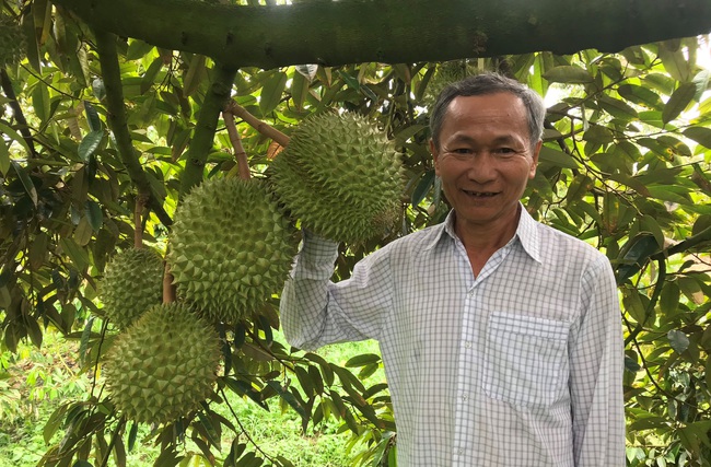 Hoạt động Hội đi vào thực chất, quan tâm đời sống nông dân - Ảnh 1.