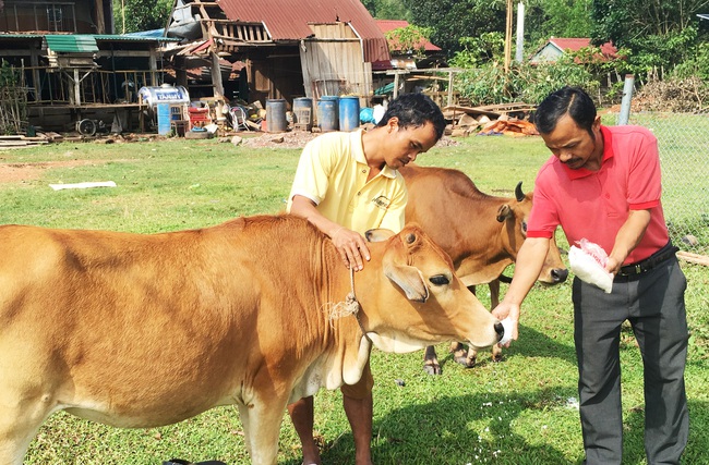 Vốn ưu đãi đưa đồng bào Ma Coong thoát nghèo - Ảnh 1.