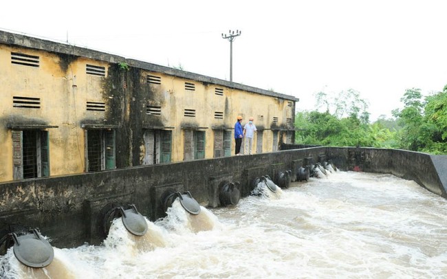 Ninh Bình: Gần 20.500 ha lúa mùa đã được thu hoạch trước khi bão số 8 đổ bộ - Ảnh 2.